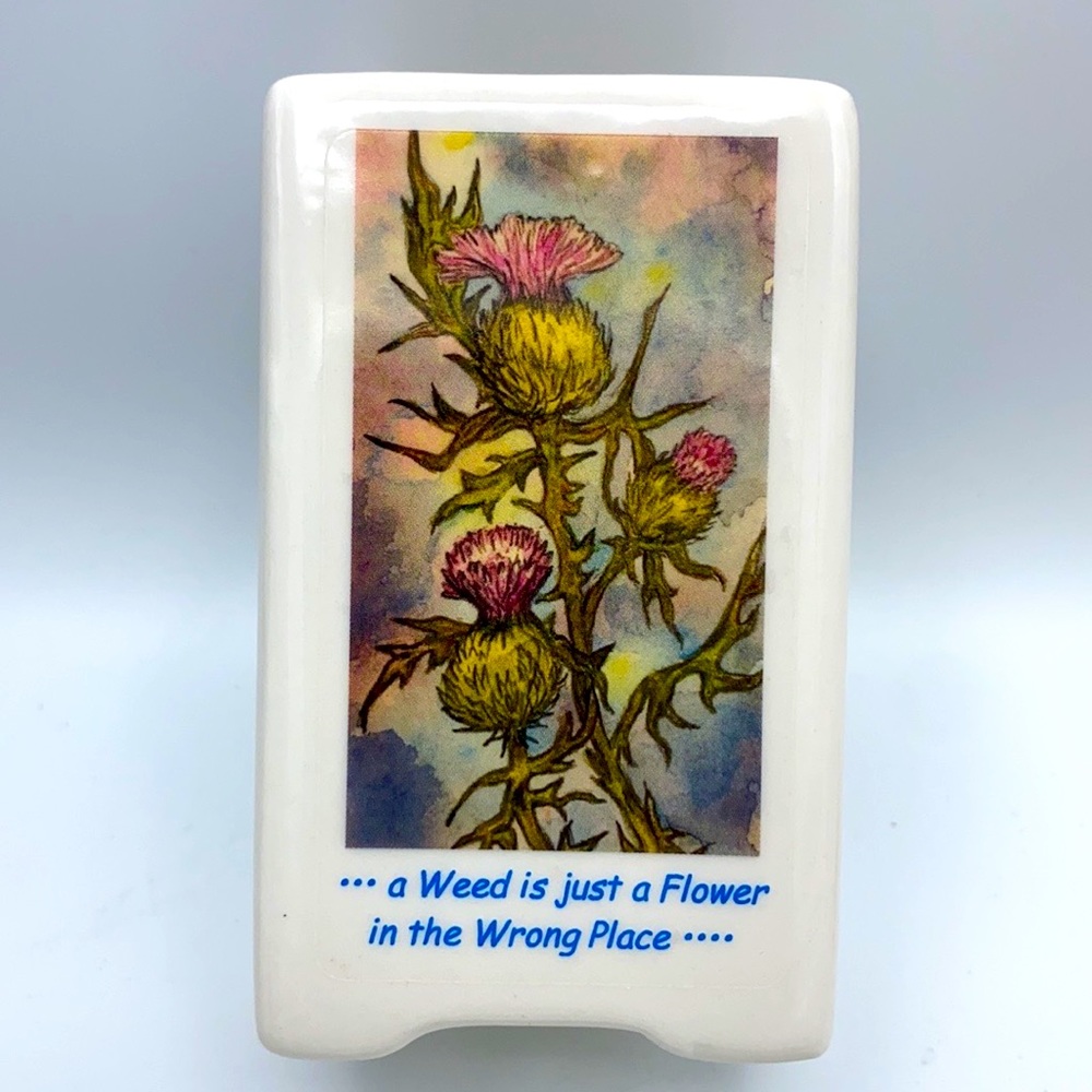 BULL THISTLE Hand Crafted Watercolor Art Home Decor Planters Office Organizer